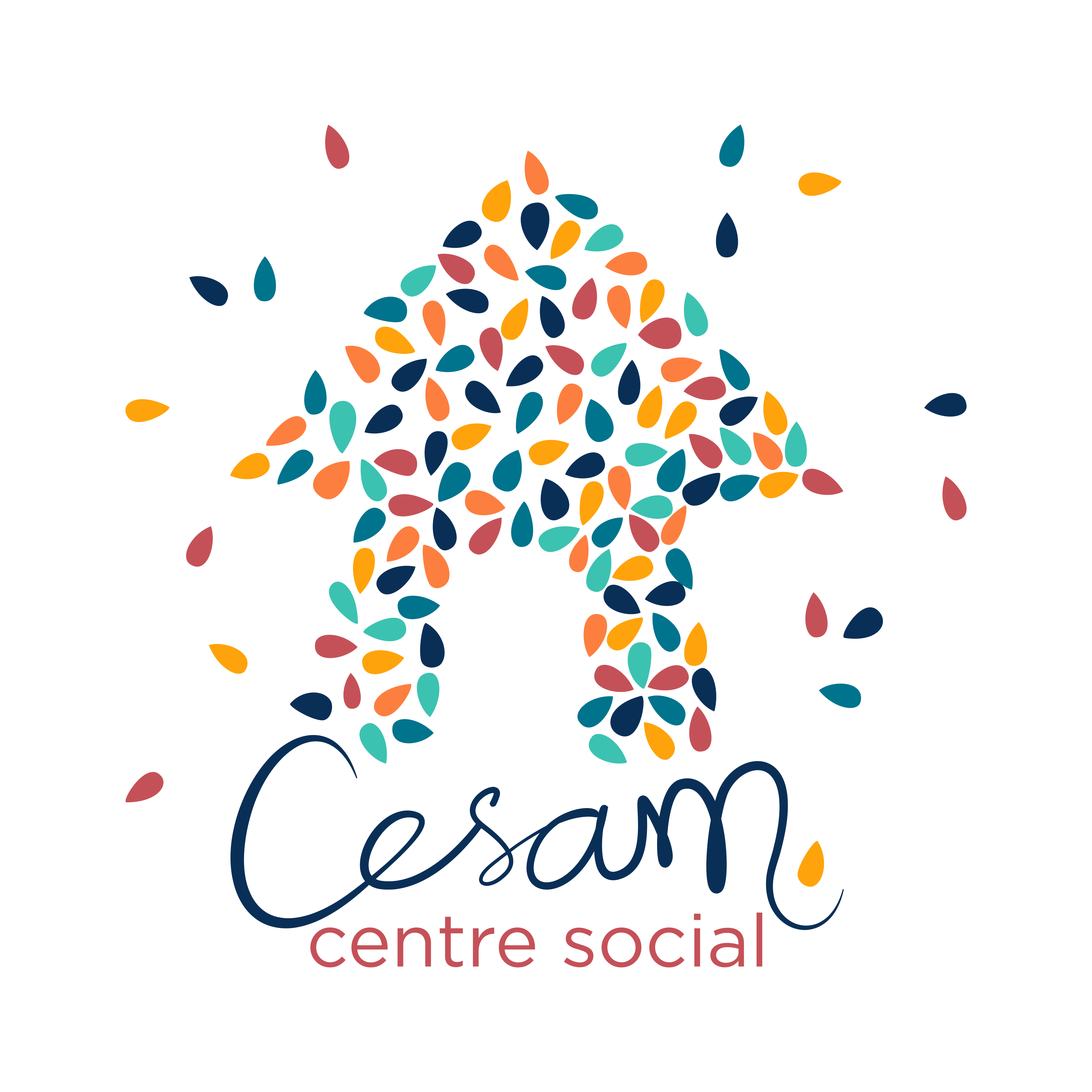 Cesam logo HD transparent